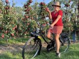 appelsolex